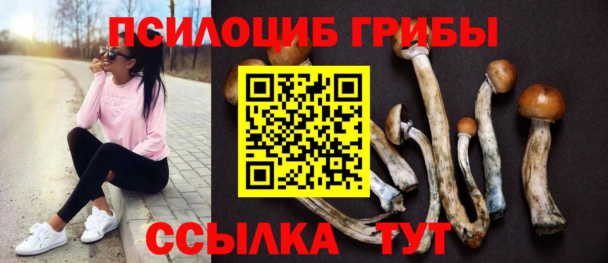 Псилоцибиновые грибы мухоморы  Галлюциногенные грибы Psilocybe  Снежинск  Вход с VPN 